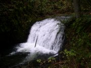 Waukeena Mult Falls 11.26.05 076 